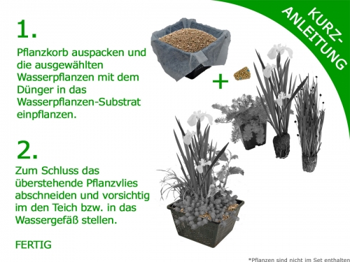 H2O Einpflanz-Set, Kurz-Anleitung